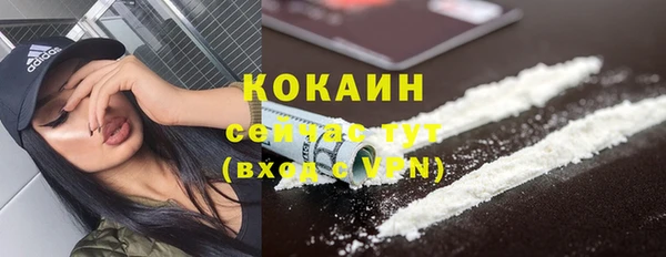 ГАЛЛЮЦИНОГЕННЫЕ ГРИБЫ Арсеньев