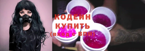 ГАЛЛЮЦИНОГЕННЫЕ ГРИБЫ Арсеньев