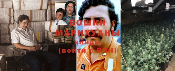 ГАЛЛЮЦИНОГЕННЫЕ ГРИБЫ Арсеньев